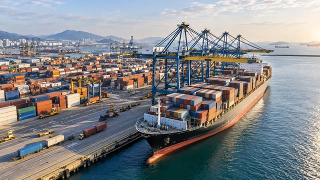 International Ocean Freight: Closing Time, SI Cut-off, and VGM Cut-off